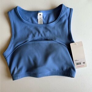 Blue Ribbed Sports Bra Top